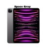 iPad Pro 11 (2022) 4TH Gen- Space gray