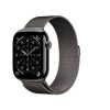 Apple Series 11-Slate Titanium