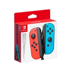 Nintendo Switch Joy Controller