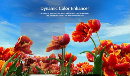 LG-43-inch-LM6370-Dynamic-Color-Enhancer