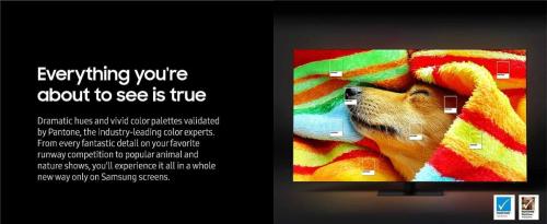 Samsung-65-Inch-S90C-Pantone-Validated