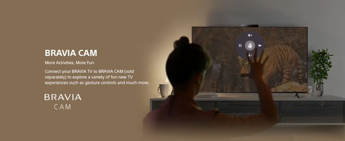 Sony-85-Bravia-cam