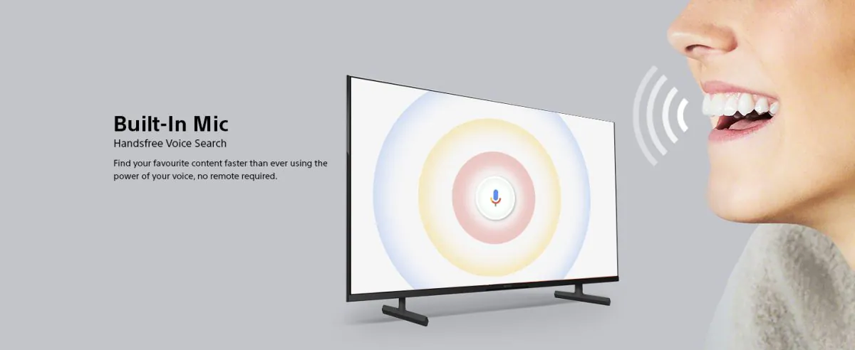 Sony-85-built-in-Mic