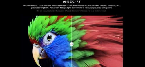 TCL-55-Inch-C655-QLED-TV-95-DCI-P3